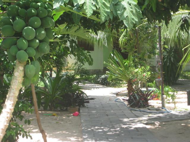 Cocosand Hotel Phan Thiết Exteriér fotografie