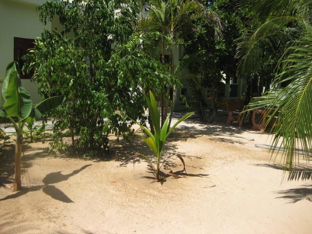 Cocosand Hotel Phan Thiết Exteriér fotografie