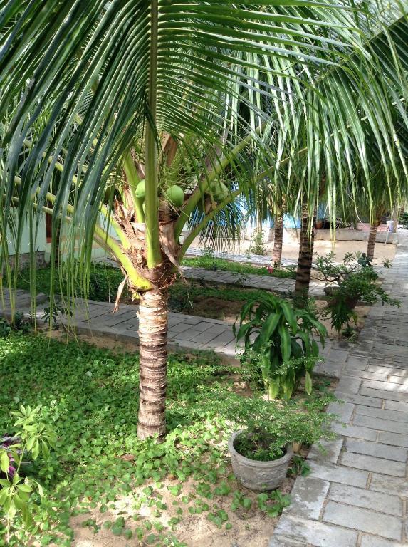 Cocosand Hotel Phan Thiết Exteriér fotografie