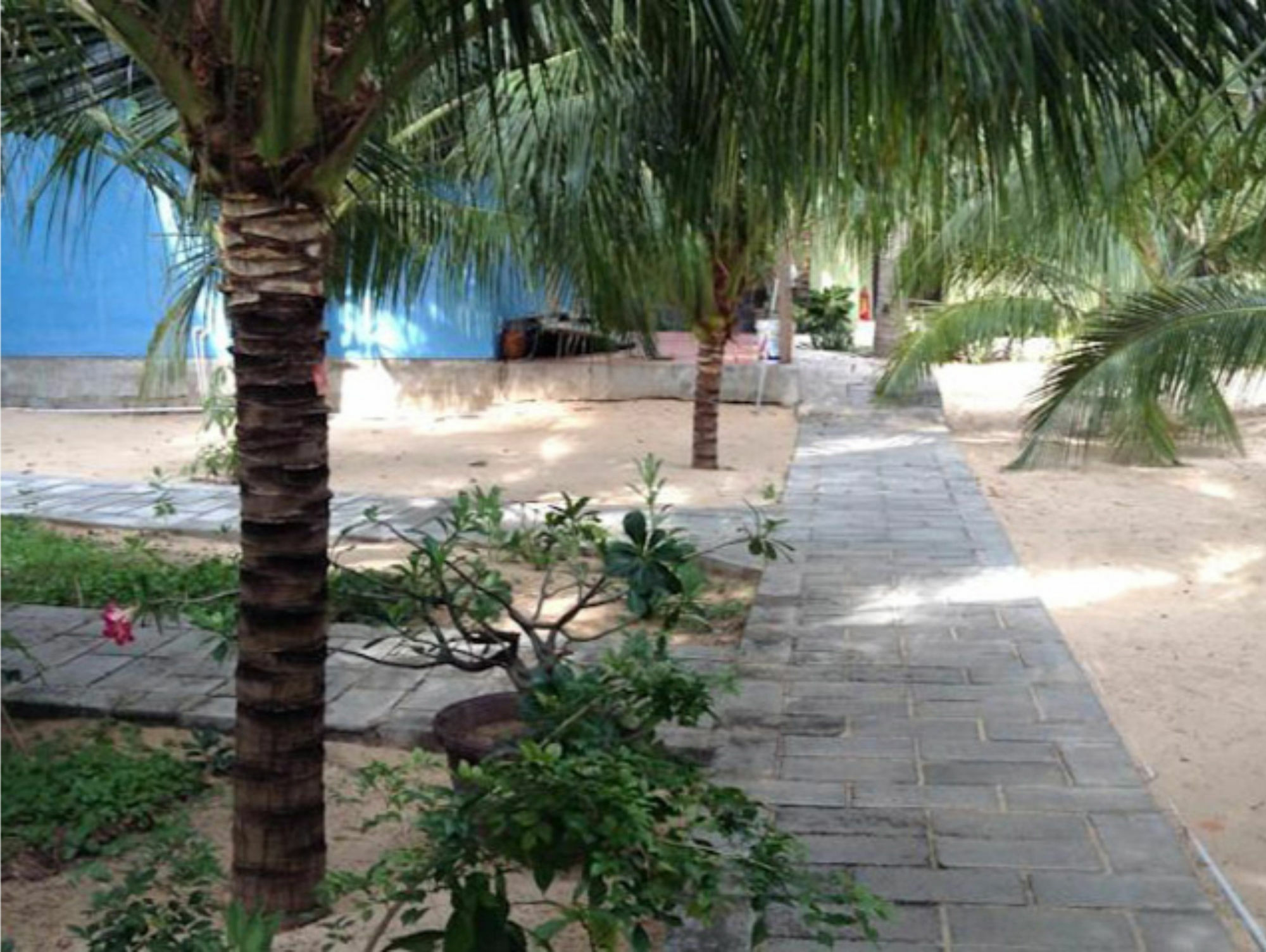 Cocosand Hotel Phan Thiết Exteriér fotografie