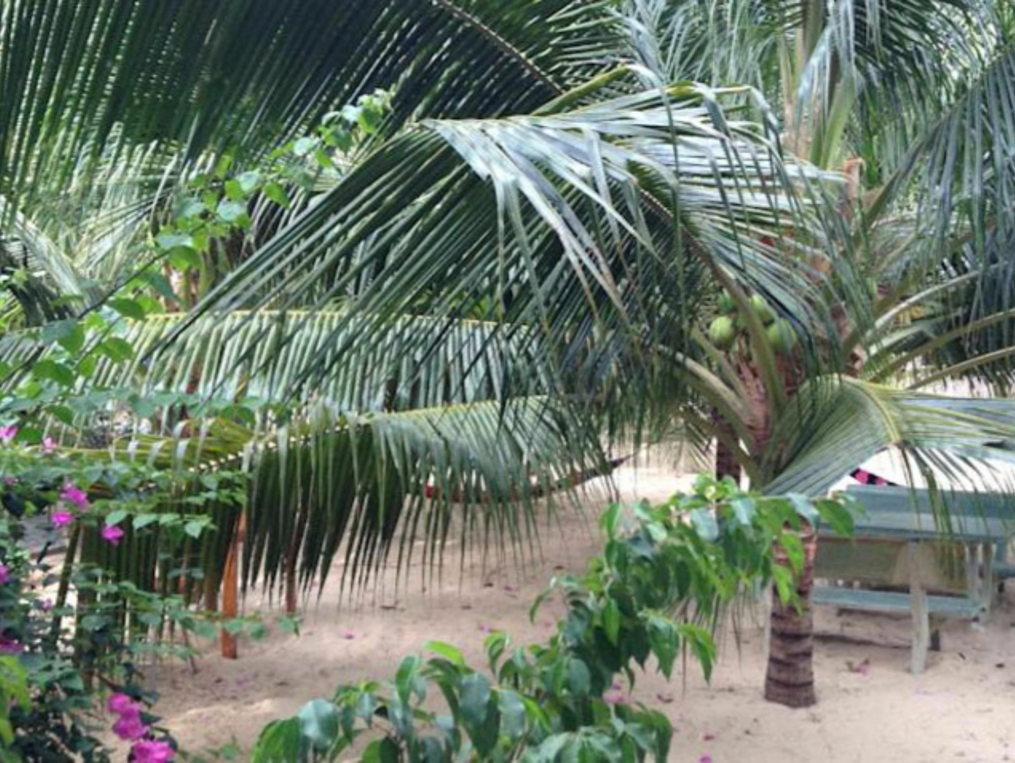 Cocosand Hotel Phan Thiết Exteriér fotografie