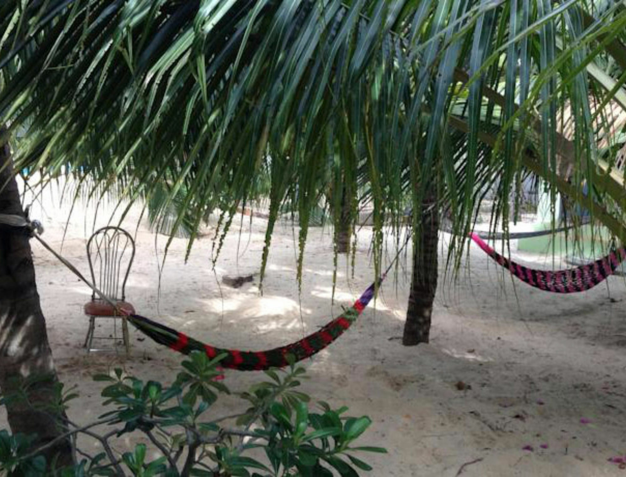 Cocosand Hotel Phan Thiết Exteriér fotografie